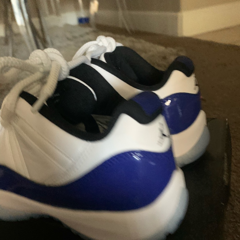 White Concord Jordan 11 Lows